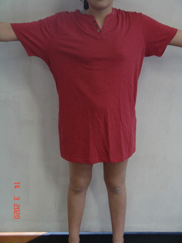 Tee-shirt masculin, différents coloris