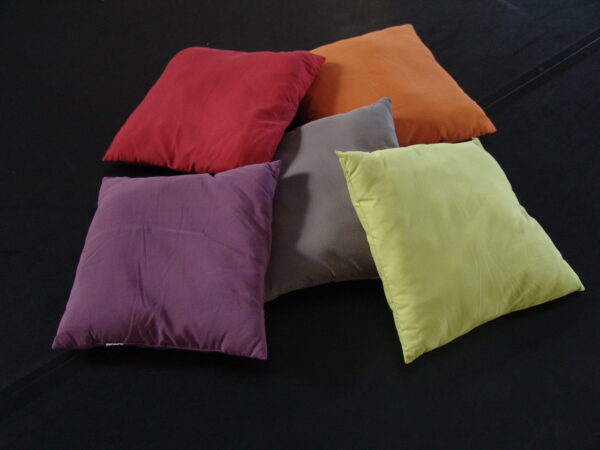 Coussin, différents coloris