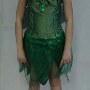 Robe fée verte foncée + aile