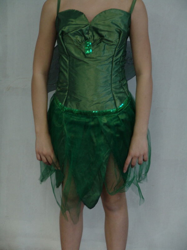 Robe fée verte foncée + aile