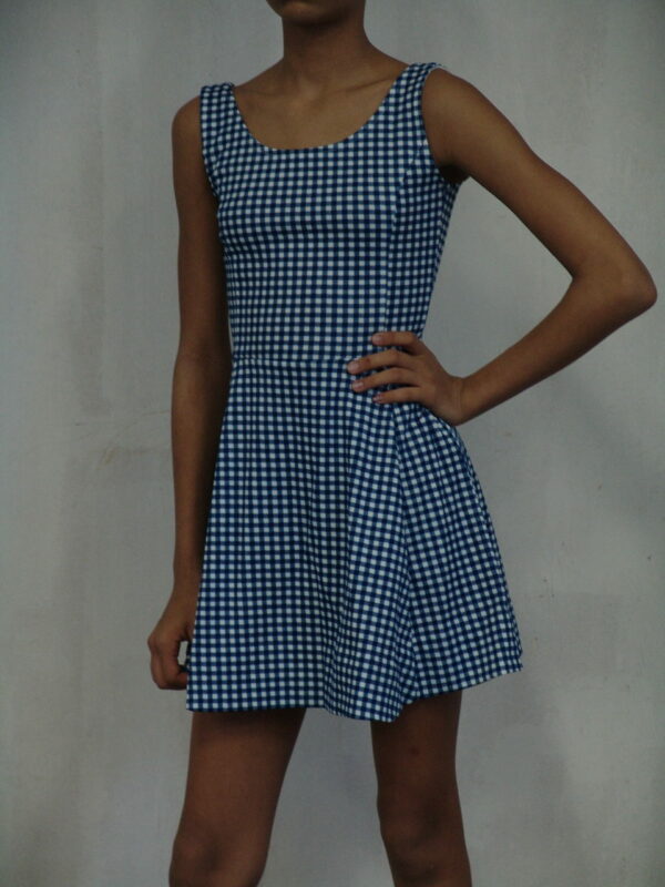 Robe vichy bleue
