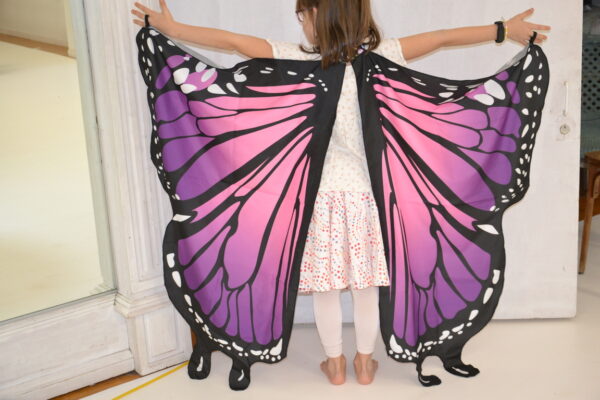 Ailes papillon