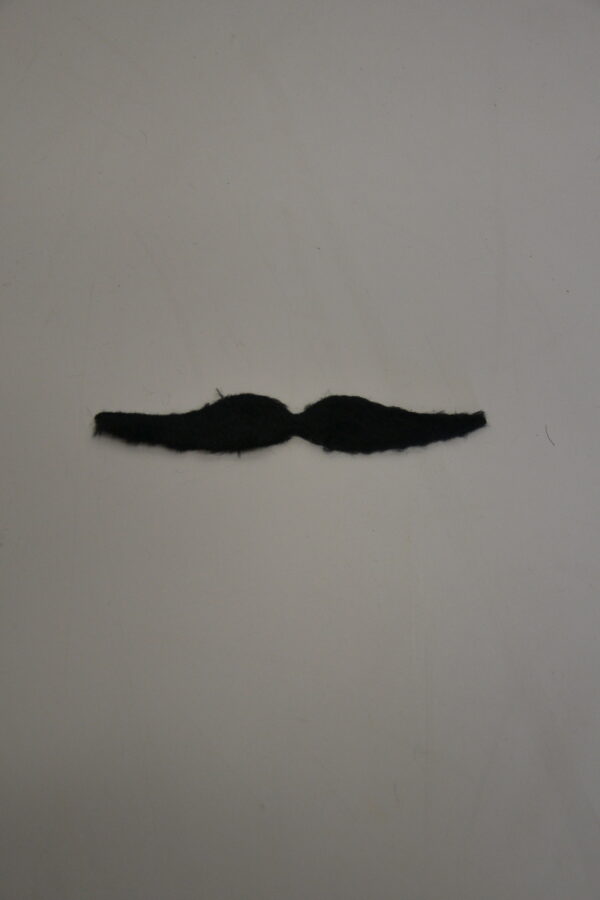 Moustache