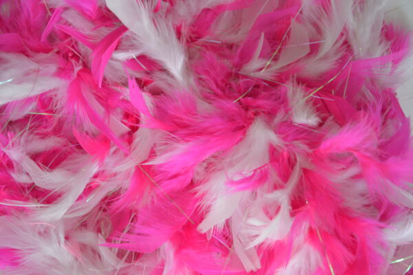 Boa rose, différents coloris – Image 3