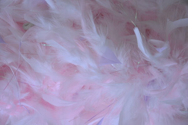 Boa rose, différents coloris – Image 4
