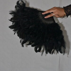 Éventail Plumes noir